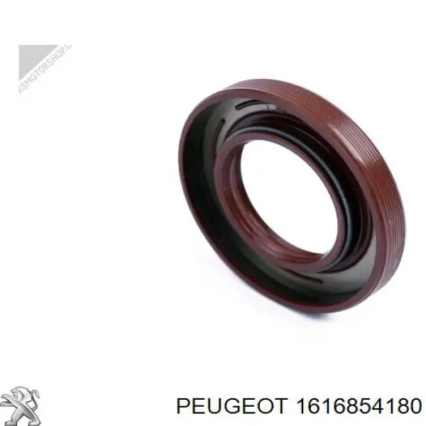 1616854180 Peugeot/Citroen Vedante de rolha de panela de motor