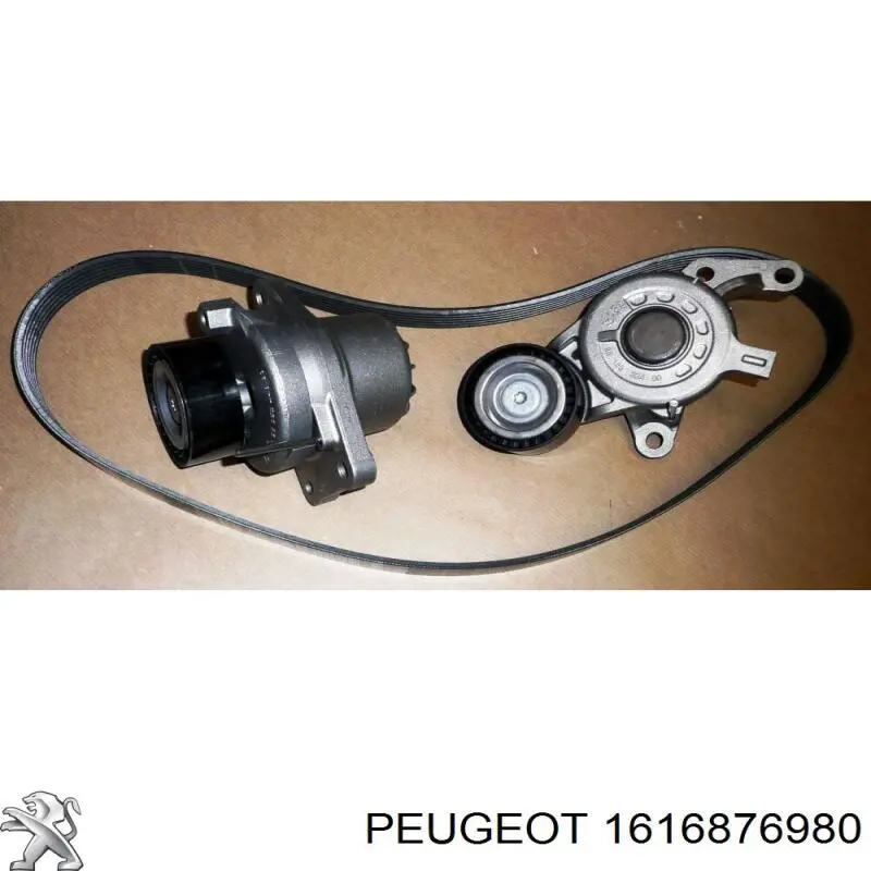 Correia dos conjuntos de transmissão, kit Peugeot/Citroen 1616876980