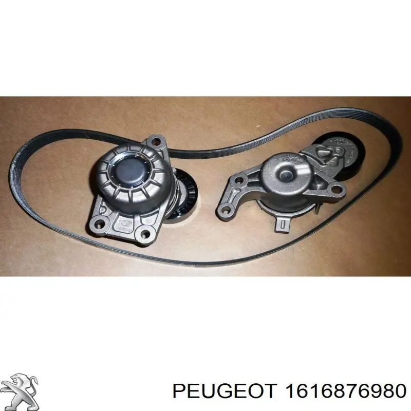 Correia dos conjuntos de transmissão, kit 1687978480 Peugeot/Citroen