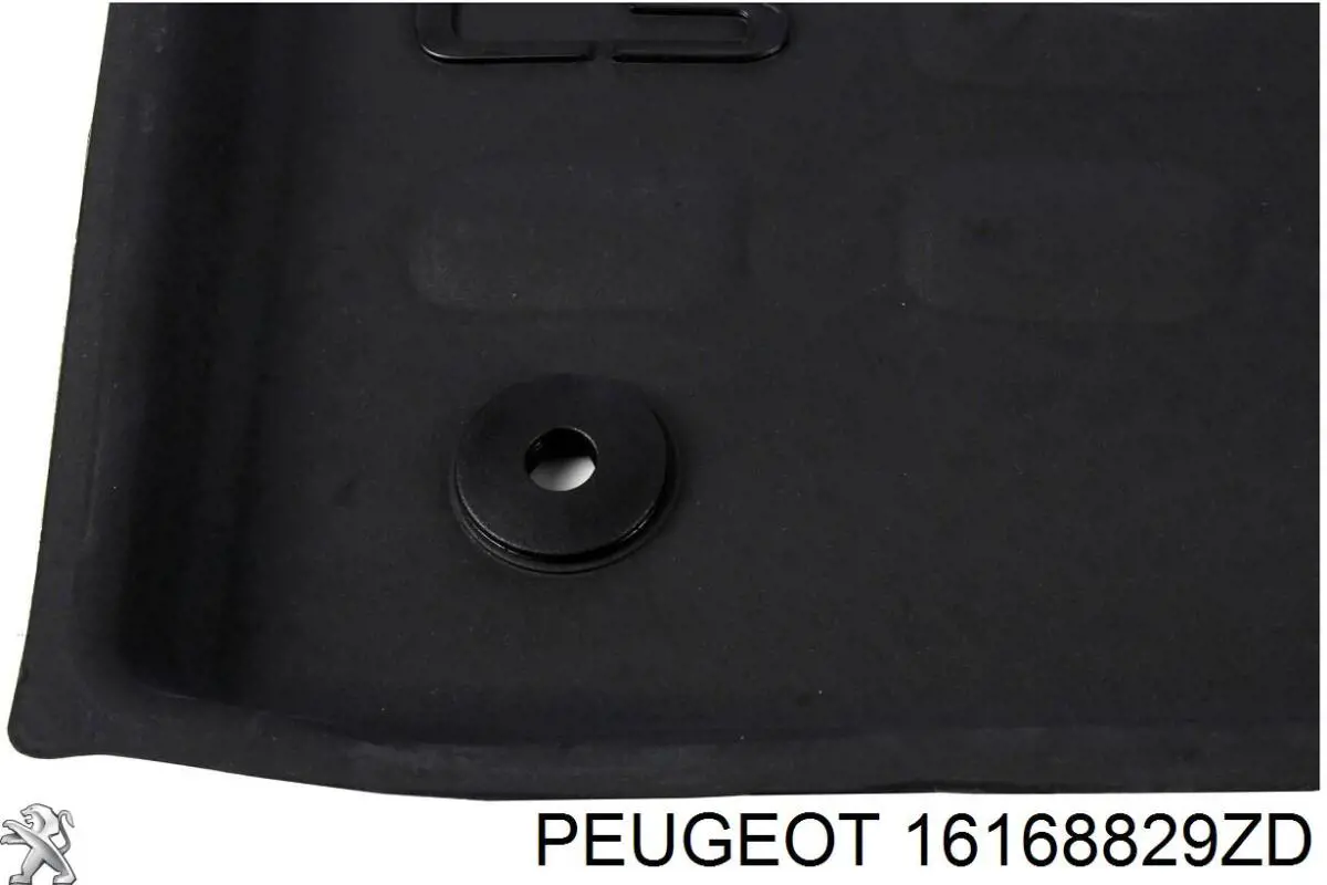 16168829ZD Peugeot/Citroen 