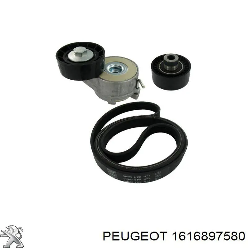 1616897580 Peugeot/Citroen 