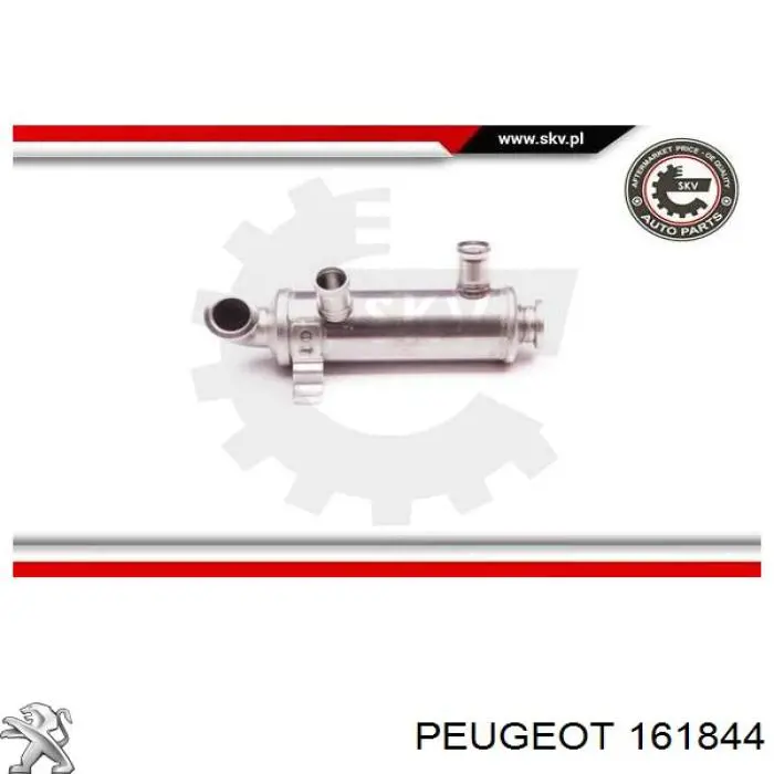 Compre 161844 Peugeot/Citroen Radiador do sistema EGR de recirculação dos gases de escape