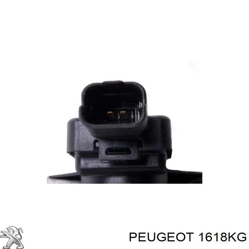 1618KG Peugeot/Citroen Válvula solenoide de regulação de comporta EGR