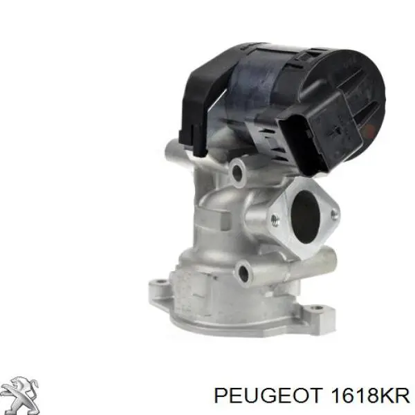 Compre 1618KR Peugeot/Citroen Vedante de válvula EGR de recirculação