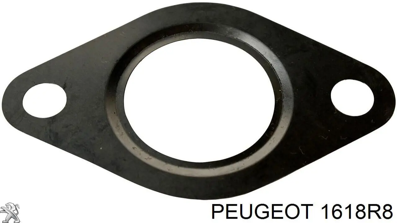 1618R8 Peugeot/Citroen Vedante de válvula EGR de recirculação