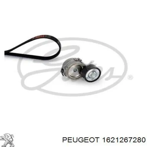 Correia dos conjuntos de transmissão, kit 1621267280 Peugeot/Citroen