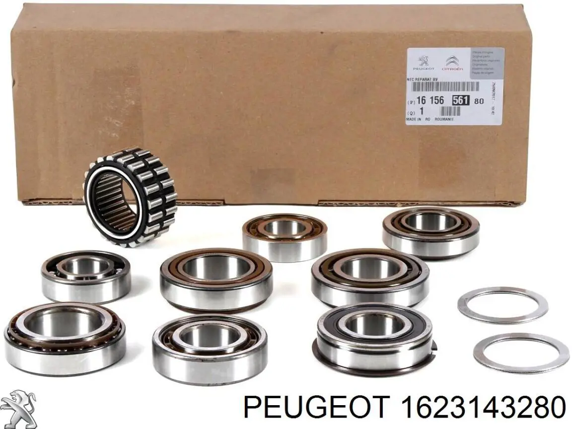 Compre 1623143280 Peugeot/Citroen Rolamento da árvore primária da Caixa de Mudança