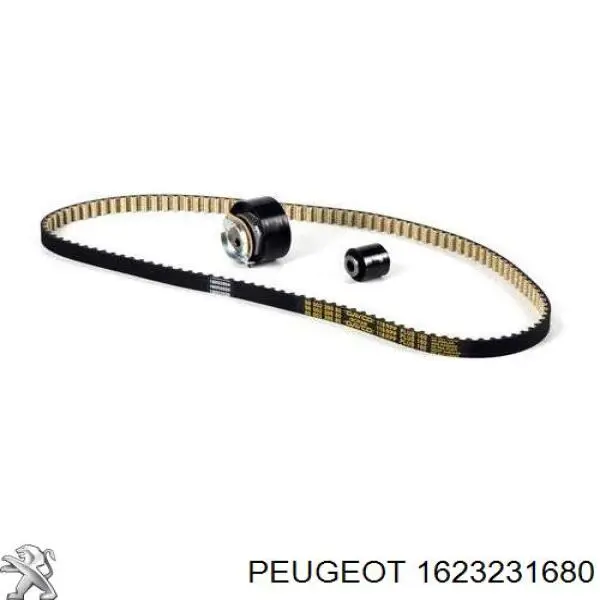 1623231680 Peugeot/Citroen Correia do mecanismo de distribuição de gás, kit