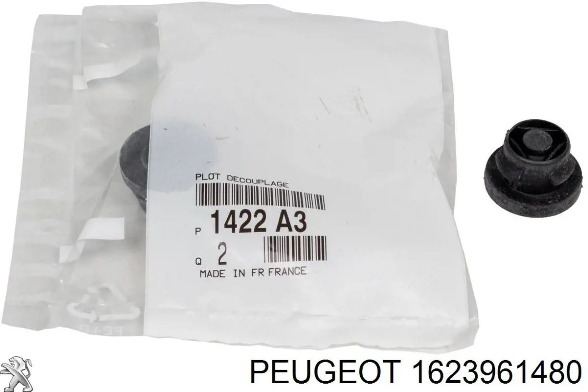 Fluido para a limpeza de filtros de fuligem 1623961480 Peugeot/Citroen