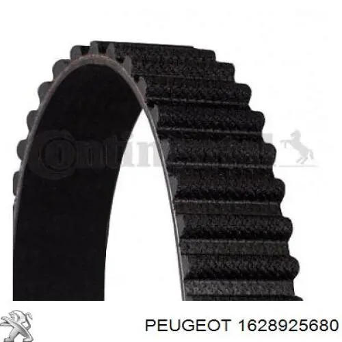 Compre 5705XS Gates Correia do mecanismo de distribuição de gás