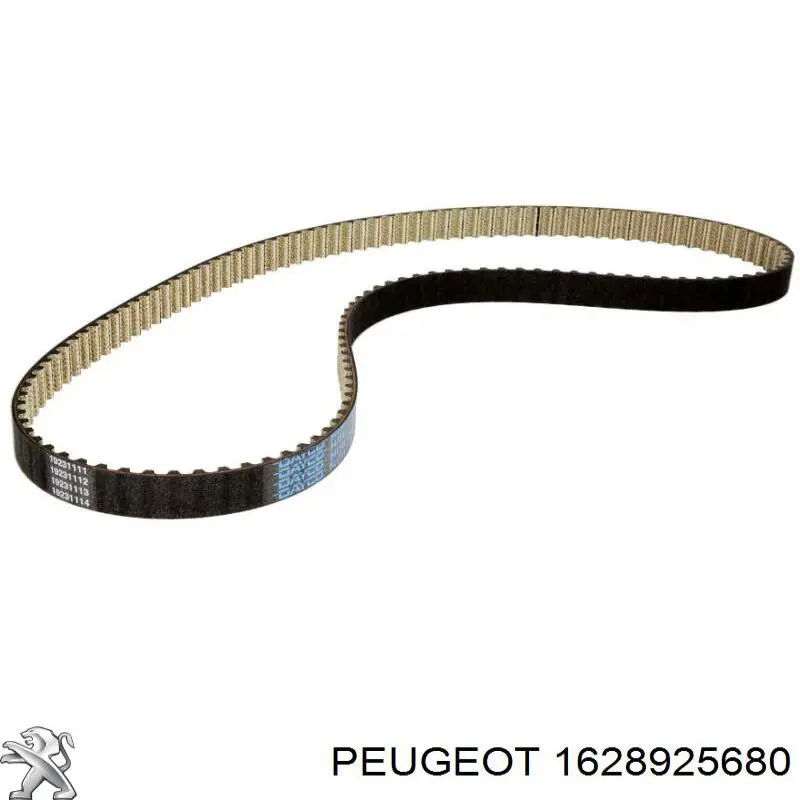 Correia do mecanismo de distribuição de gás Peugeot/Citroen 1628925680 preço, a partir de 55,94 USD