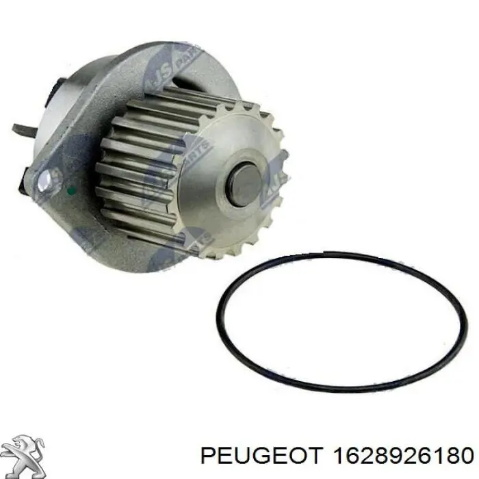 Correia do mecanismo de distribuição de gás, kit Peugeot/Citroen 1628926180 preço, a partir de 132,46 USD