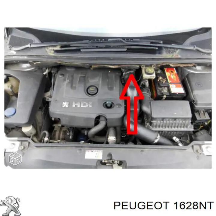 Compre 1628NT Peugeot/Citroen Cano derivado de ar, da válvula de borboleta