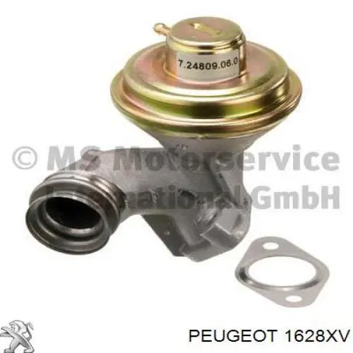 Compre 1628XV Peugeot/Citroen Válvula EGR de recirculação dos gases