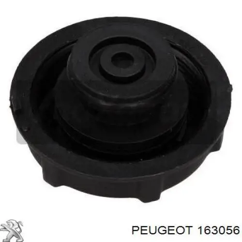 Cabo/pedal de gás (de acelerador) para Peugeot 505  551A