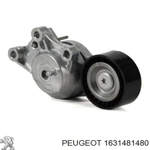 Reguladora de tensão da correia de transmissão 1631481480 Peugeot/Citroen