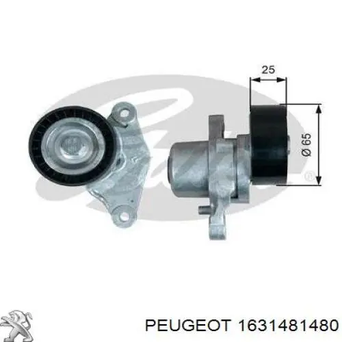 Compre 1631481480 Peugeot/Citroen Reguladora de tensão da correia de transmissão