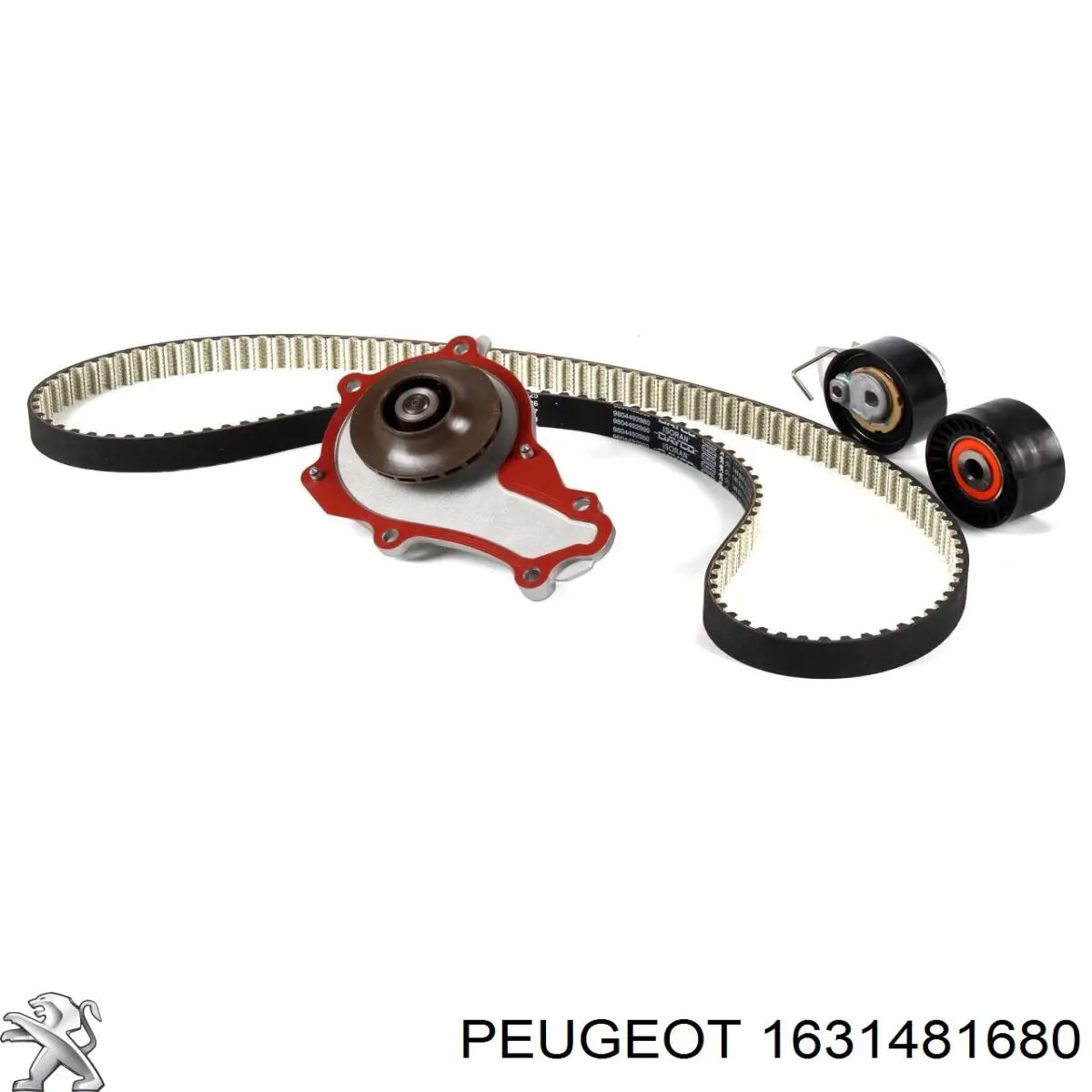 Correia dos conjuntos de transmissão, kit Peugeot/Citroen 1631481680 preço, a partir de 155,90 USD