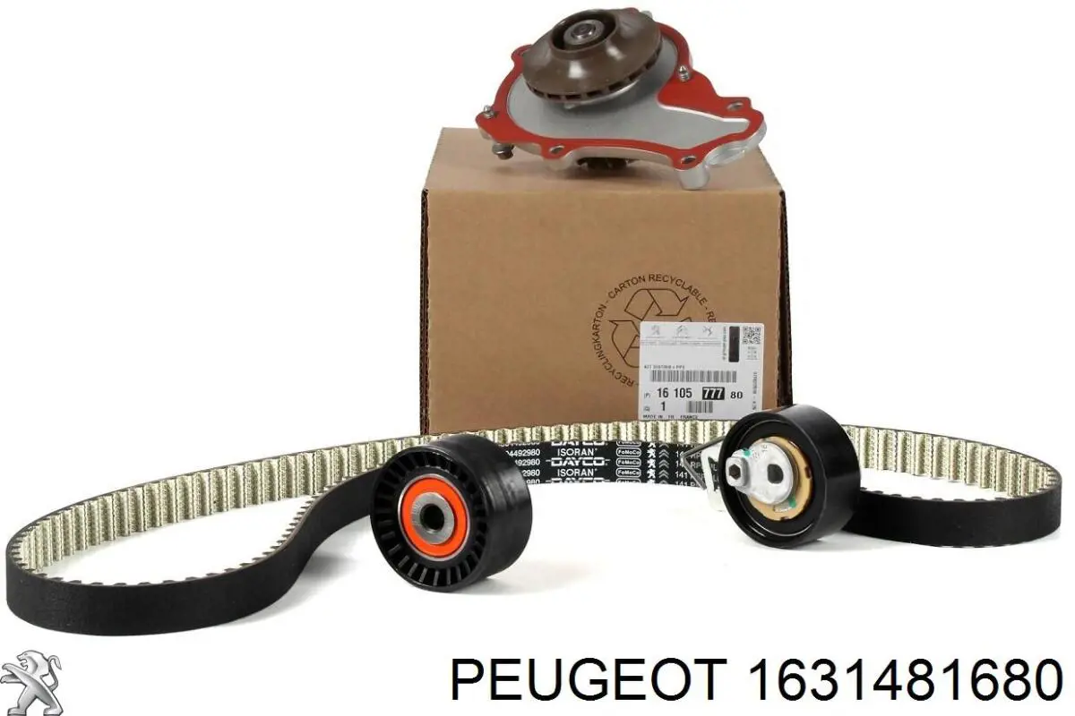 Correia dos conjuntos de transmissão, kit Peugeot/Citroen 1631481680