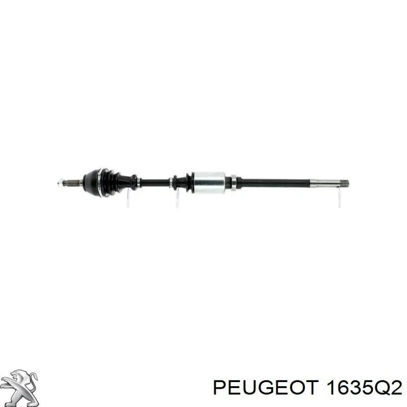 Sensor de posição da válvula de borboleta (potenciômetro) Citroen Jumper  244