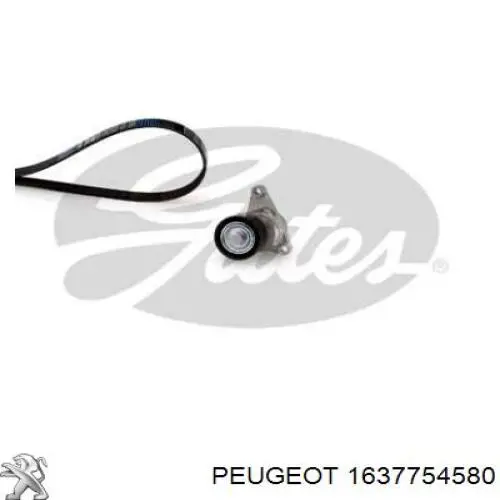 Correia dos conjuntos de transmissão, kit 1637754580 Peugeot/Citroen