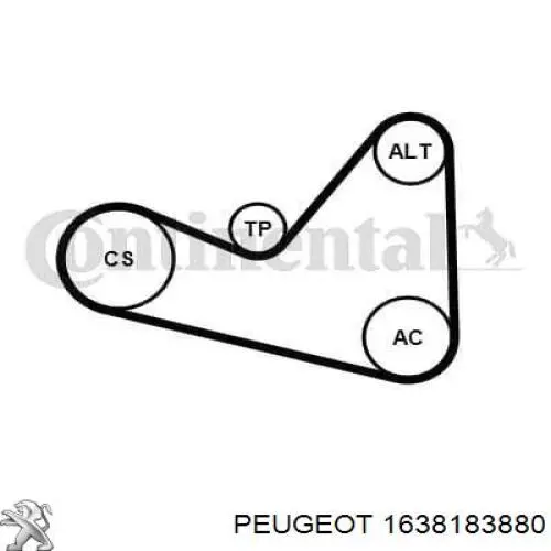 1638183880 Peugeot/Citroen Correia dos conjuntos de transmissão, kit