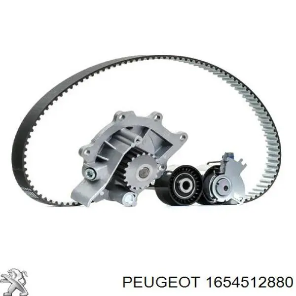 Correia do mecanismo de distribuição de gás, kit 1654516180 Peugeot/Citroen