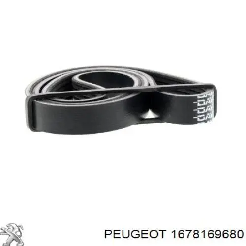 Compre 1678169680 Peugeot/Citroen Correia dos conjuntos de transmissão