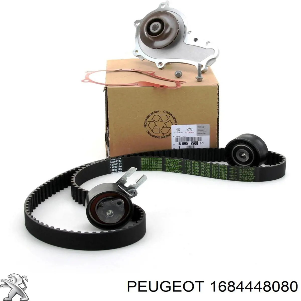 Correia do mecanismo de distribuição de gás, kit Peugeot/Citroen 1684448080 preço, a partir de 99,96 USD