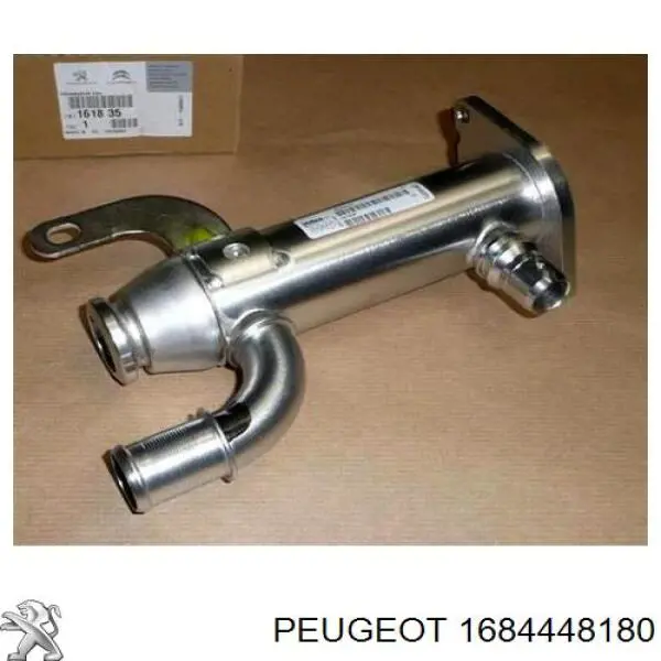Correia do mecanismo de distribuição de gás, kit 1684448180 Peugeot/Citroen