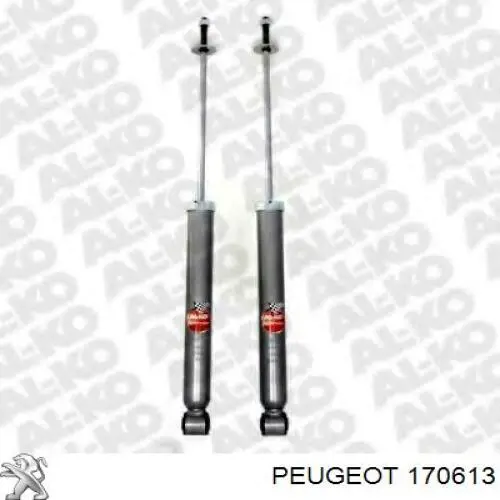 Compre 170613 Peugeot/Citroen Convertidor - catalisador