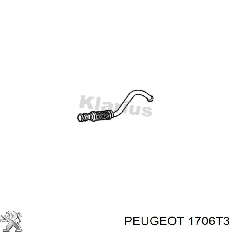 Tubo de admissão dianteiro (calças) do silenciador Peugeot/Citroen 1706T3 preço, a partir de 119,11 USD