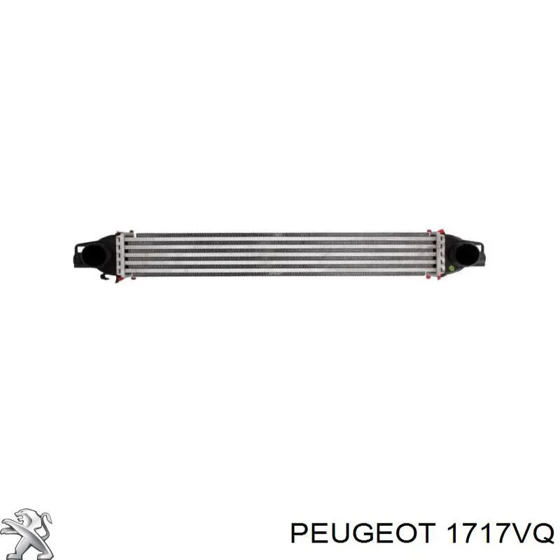 1717VQ Peugeot/Citroen Silenciador, parte traseira