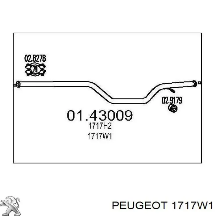 Compre 1717W1 Peugeot/Citroen Silenciador, parte central