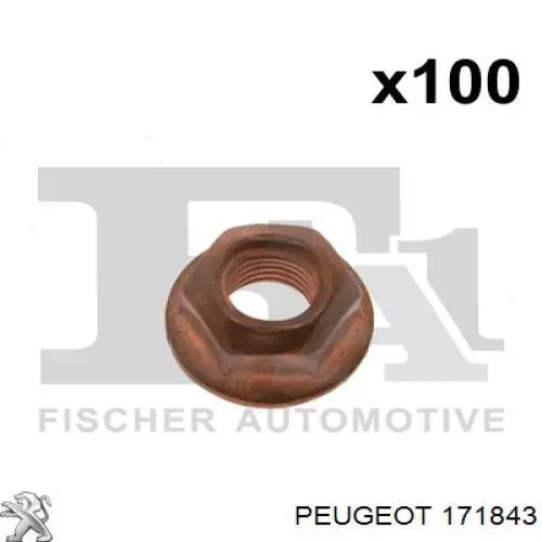 171843 Peugeot/Citroen 