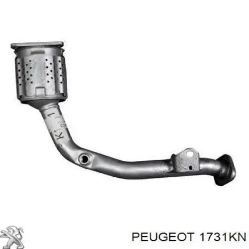 1731KN Peugeot/Citroen Convertidor - catalisador