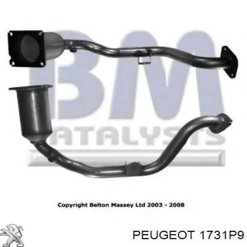 Compre 1731P9 Peugeot/Citroen Convertidor - catalisador