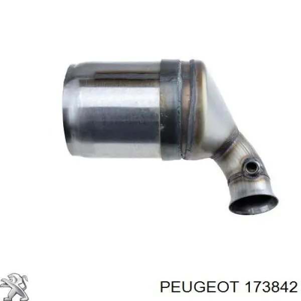 173842 Peugeot/Citroen Filtro de partículas do sistema dos gases de escape
