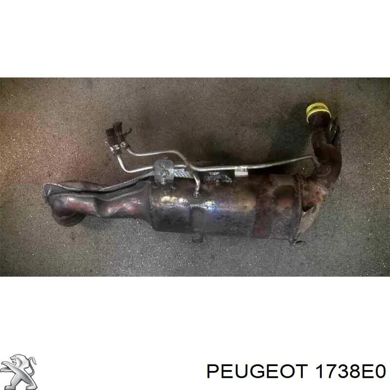 1738E0 Peugeot/Citroen Filtro de partículas do sistema dos gases de escape