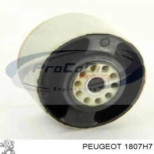 1807H7 Peugeot/Citroen Coxim (suporte) traseiro de motor