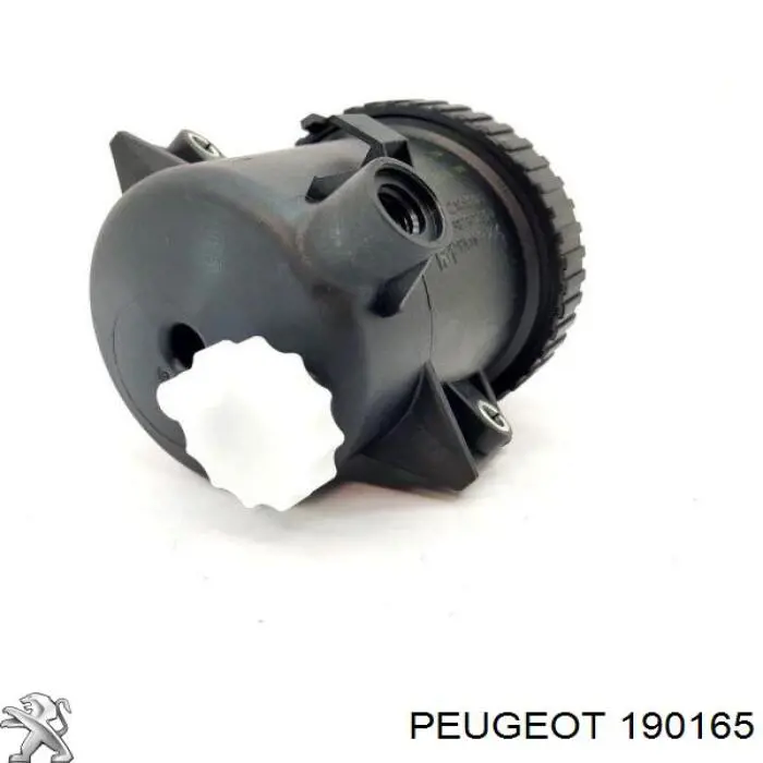 Compre 190165 Peugeot/Citroen Caixa de filtro de combustível