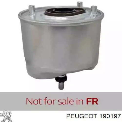 190197 Peugeot/Citroen Caixa de filtro de combustível
