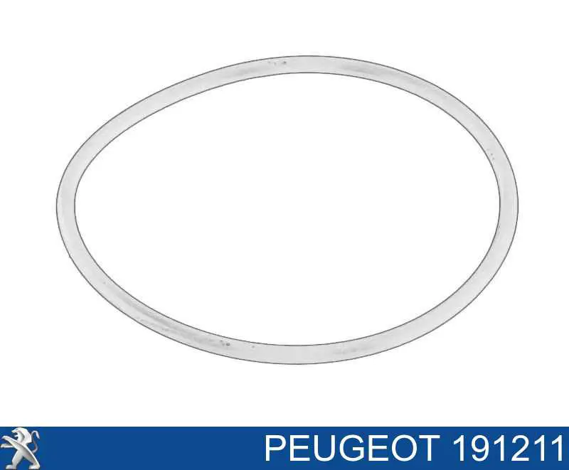 191211 Peugeot/Citroen Vedante de caixa de filtro de combustível