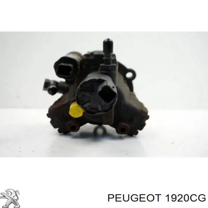 Bomba de combustível de pressão alta Peugeot/Citroen 1920CG preço, a partir de 100,45 USD
