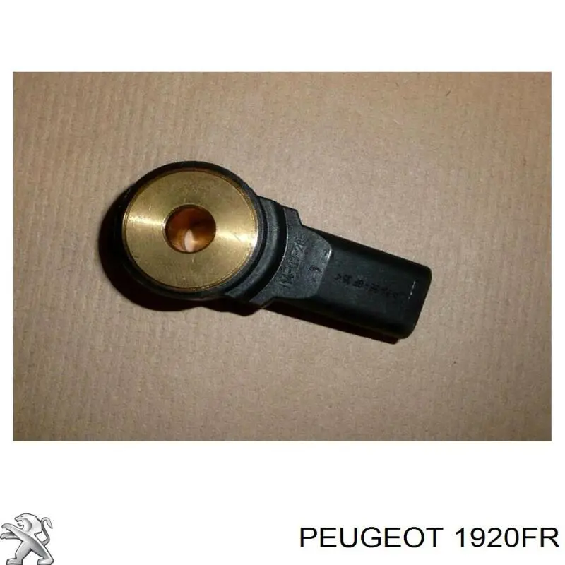 Compre 1920FR Peugeot/Citroen Sensor de detonação