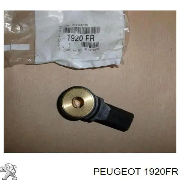 1920FR Peugeot/Citroen Sensor de detonação