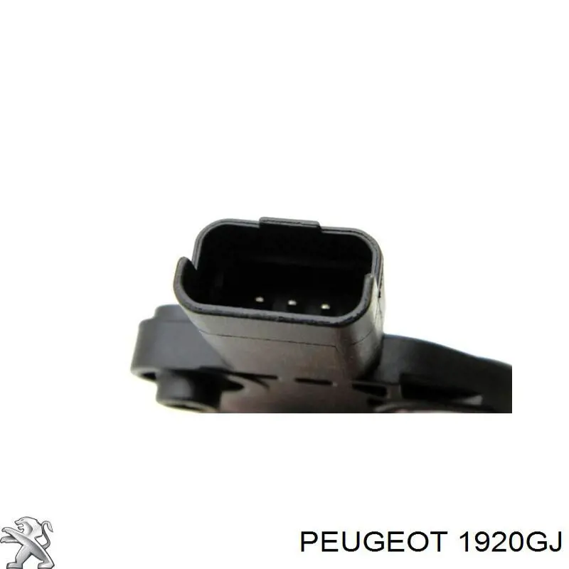 1920GJ Peugeot/Citroen Sensor de posição (de revoluções) de cambota