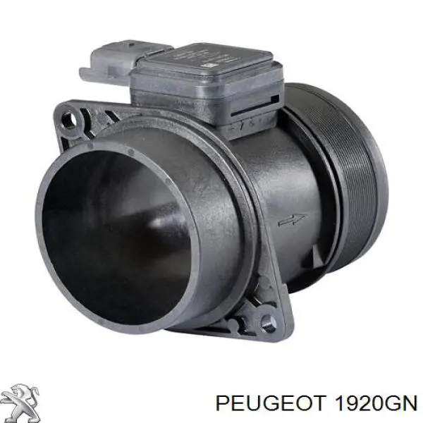 1920GN Peugeot/Citroen Sensor de fluxo (consumo) de ar, medidor de consumo M.A.F. - (Mass Airflow)