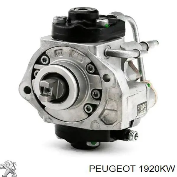 1920KW Peugeot/Citroen Bomba de combustível de pressão alta