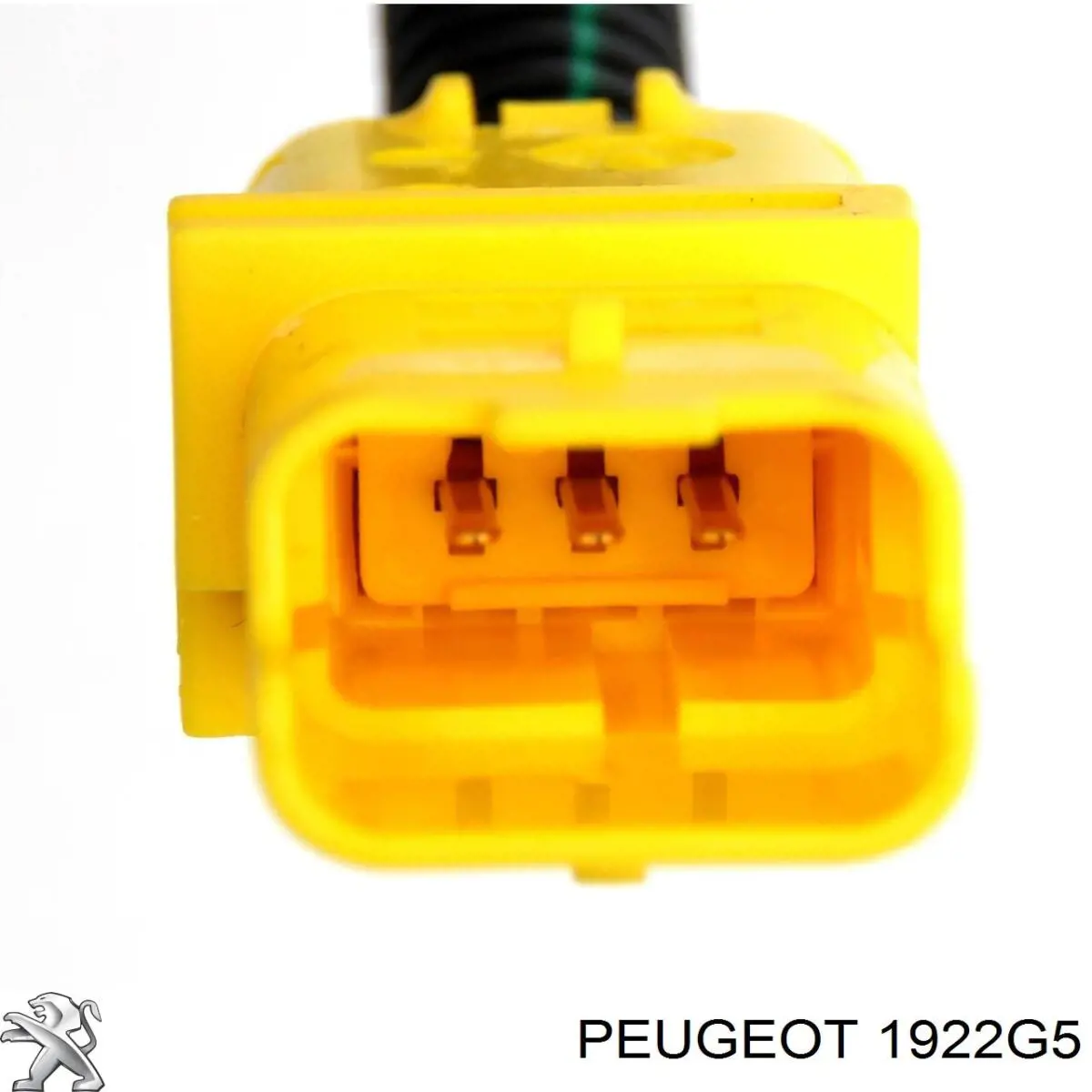 2324073 Metzger Cabo de sensor de pressão de combustível na sonda